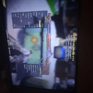 Double Ammo /Explosive/lucky Hit.   Lever Action