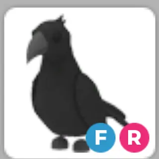 FR crow | adopt me !