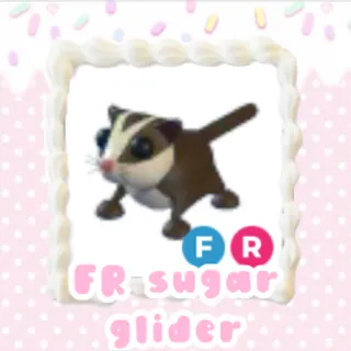 FR sugar glider | adopt
