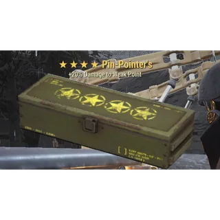 5x Pin-Pointer's 4 star loose mod