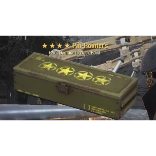 2x Pin-Pointer's 4 star loose mod