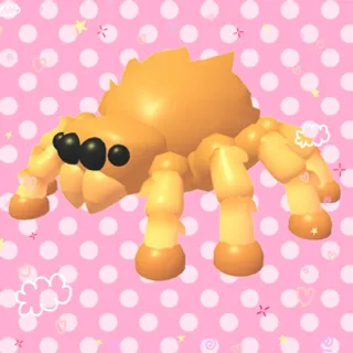 neon jumping spider