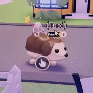 hedgehog FR