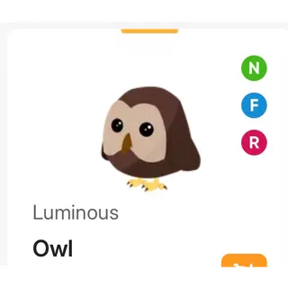Neon F/R Owl