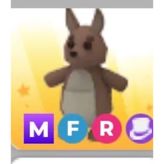 ADOPT ME - Mega F/R kangaroo -