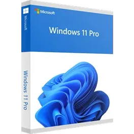 windows 11 pro