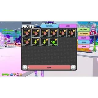 10 fruits bundle