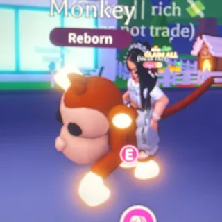 NEON RIDE MONKEY