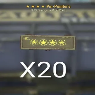 Pin-Pointer's Mods (×20)