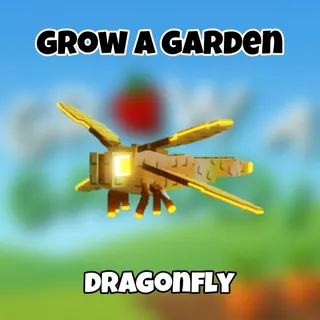 Dragonfly-Grow a garden