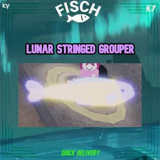 Lunar Stringed Grouper - Fisch