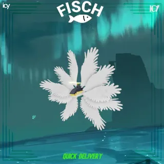 Seraphim - Fisch