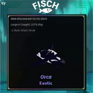 4x Orca - Fisch