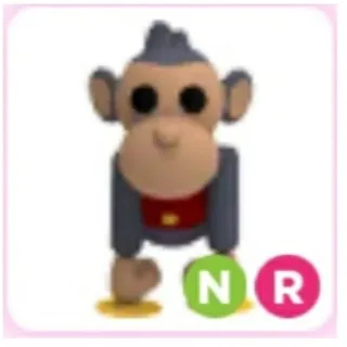 NR Toy Monkey