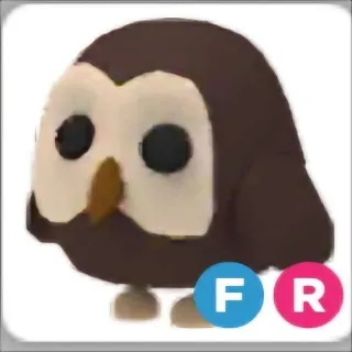 Owl FR