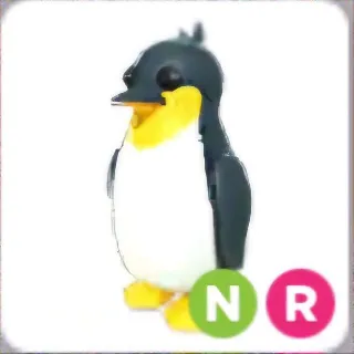 NR King Penguin