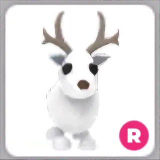 Arctic Reindeer R