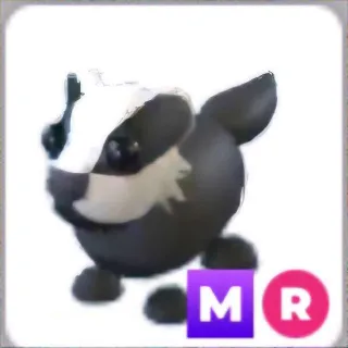MR Badger