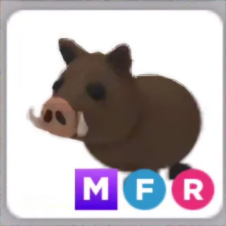 MFR Wild Boar