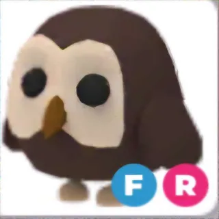 FR Owl