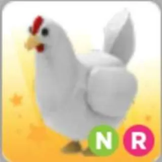Pet | Chicken NR