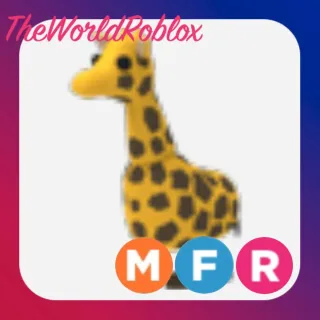 MFR GIRAFFE