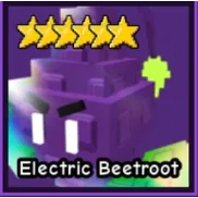 ELECTRIC BEETROOT | GTD