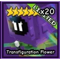 1X TRANSFIGURATION FLOWER | GTD