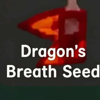 10 PCS DRAGON'S BREATH SEED | GROW A GARDEN 2
