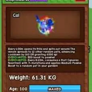 RAINBOW HATCH DILO