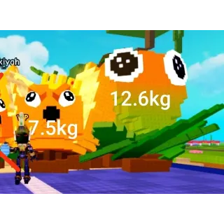 7.5KG KING LIMONE AND 12.6KG MANGO