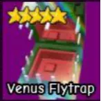 VENUS FLYTRAP | GTD