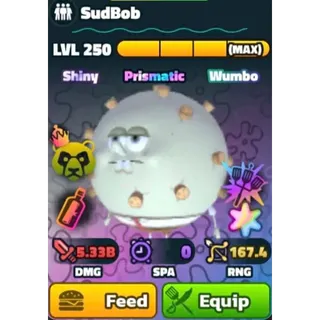 SW SS SUDBOB
