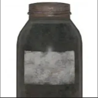 black eyed Susan’s x50