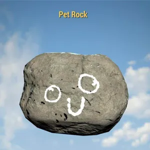 pet rock