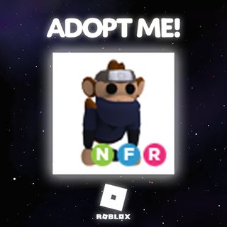 Pet Nfr Ninja Monkey In Game Items Gameflip - neon ninja roblox