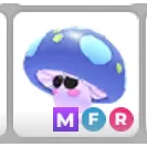 PET || 1X MUSHROOM FRIEND MFR