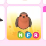 1X nfr robin | adopt me!