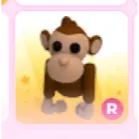 1x R monkey | ADOPT ME!