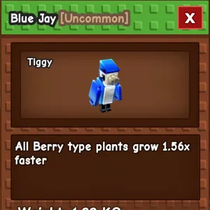 Blue Jay Grow a Garden