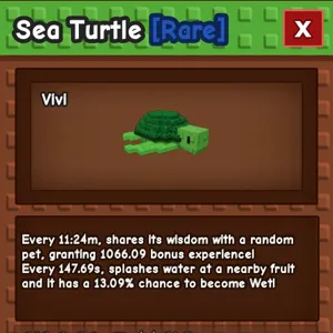 Sea Turtle Grow a Garden