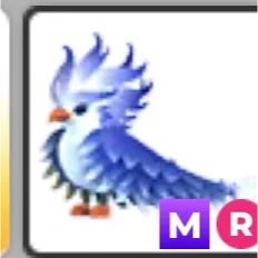 MR frost phoenix