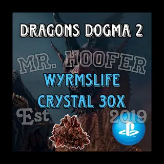 Dragons Dogma 2