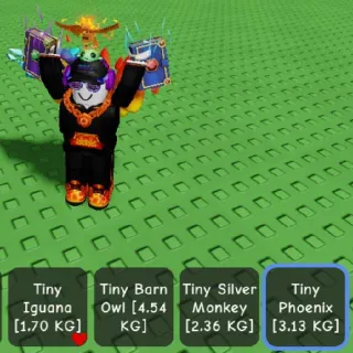 TINY PHOENIX PET GAG