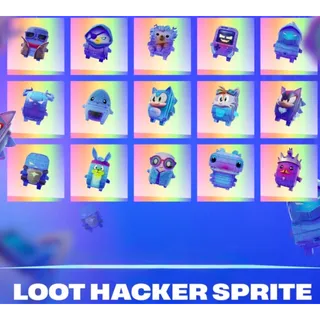 LOOT HACKER BUNDLE FN