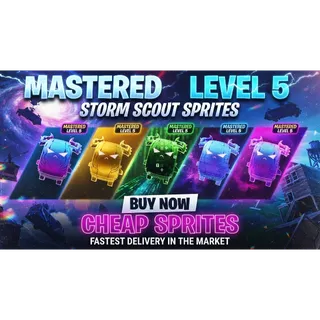 STORM SCOUT LEVEL 5