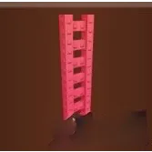 100x RAINBOW LADDER GAG2