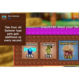 SUMMER PET BUNDLE GAG