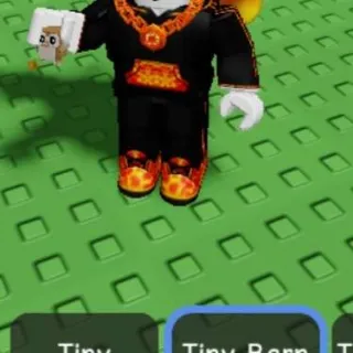 TINY BARN OWL PET GAG