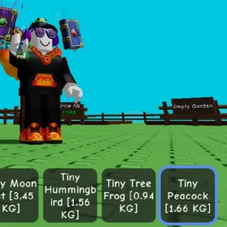 TINY PEACOCK PET GAG